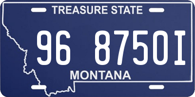 MT license plate 968750I