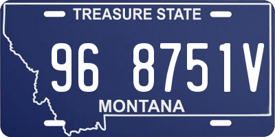 MT license plate 968751V