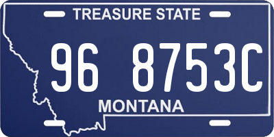 MT license plate 968753C