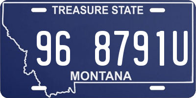 MT license plate 968791U
