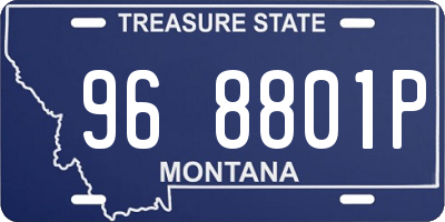 MT license plate 968801P