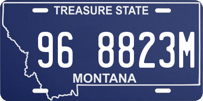 MT license plate 968823M