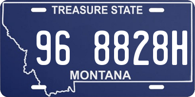 MT license plate 968828H