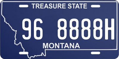 MT license plate 968888H