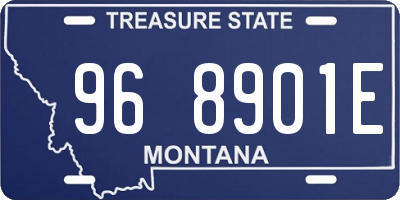 MT license plate 968901E