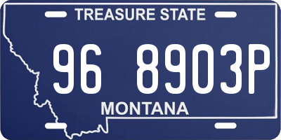 MT license plate 968903P