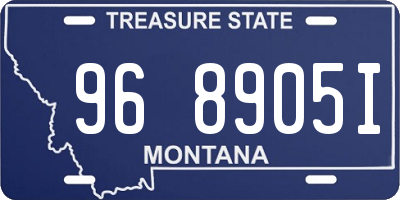 MT license plate 968905I