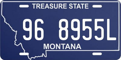 MT license plate 968955L