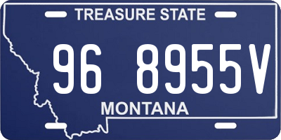 MT license plate 968955V