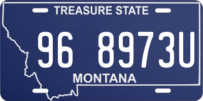 MT license plate 968973U