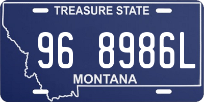 MT license plate 968986L
