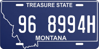 MT license plate 968994H