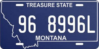 MT license plate 968996L