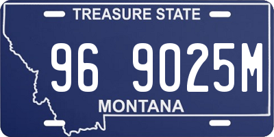 MT license plate 969025M