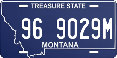 MT license plate 969029M