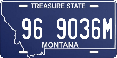 MT license plate 969036M