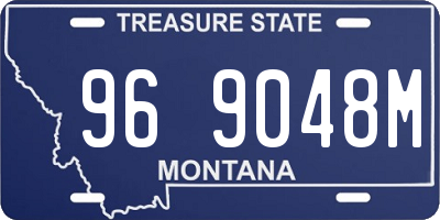MT license plate 969048M