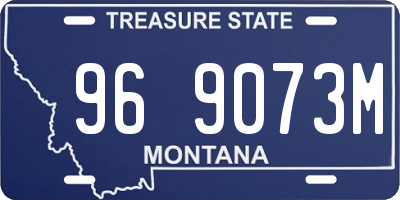 MT license plate 969073M