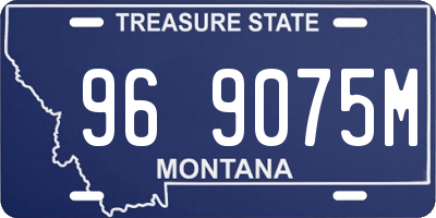 MT license plate 969075M