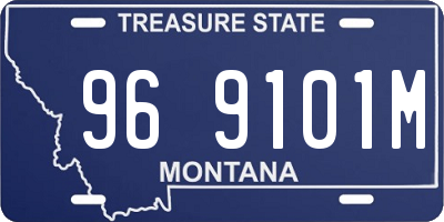 MT license plate 969101M