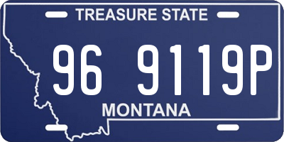 MT license plate 969119P