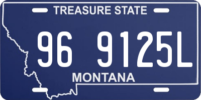 MT license plate 969125L