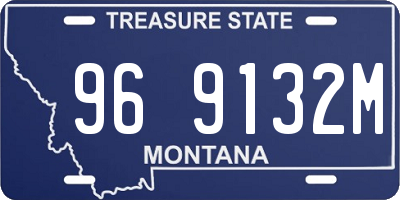 MT license plate 969132M