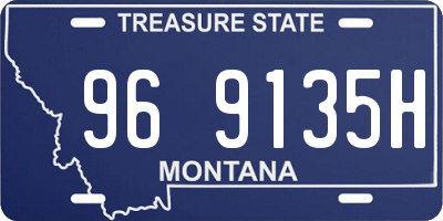 MT license plate 969135H