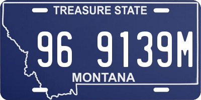 MT license plate 969139M