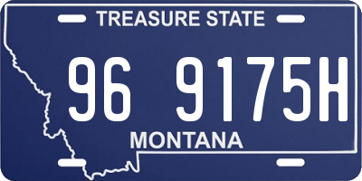 MT license plate 969175H