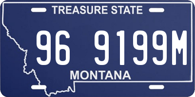 MT license plate 969199M