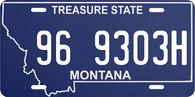 MT license plate 969303H