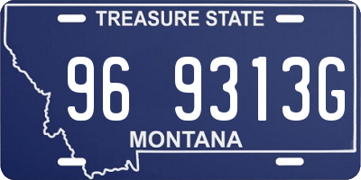 MT license plate 969313G