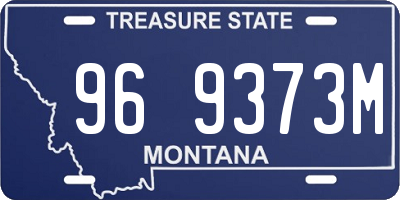 MT license plate 969373M