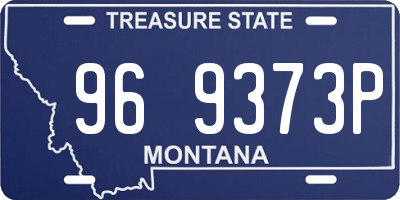 MT license plate 969373P