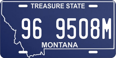 MT license plate 969508M
