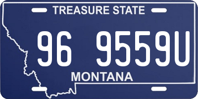 MT license plate 969559U
