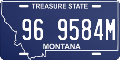 MT license plate 969584M