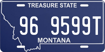MT license plate 969599T