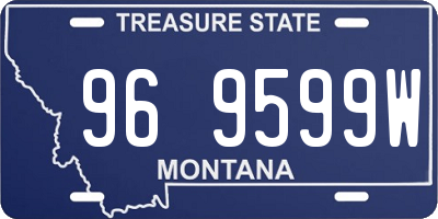 MT license plate 969599W