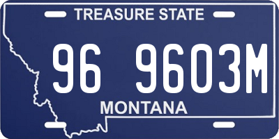 MT license plate 969603M