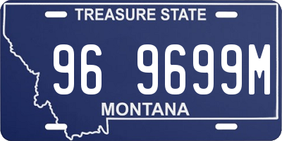 MT license plate 969699M