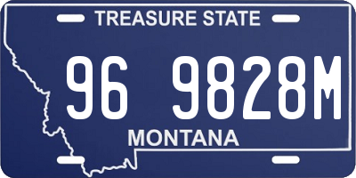MT license plate 969828M