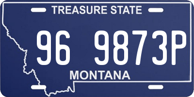 MT license plate 969873P