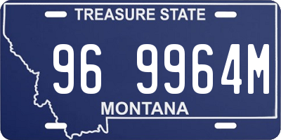 MT license plate 969964M
