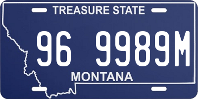 MT license plate 969989M