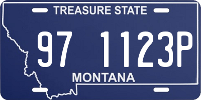 MT license plate 971123P