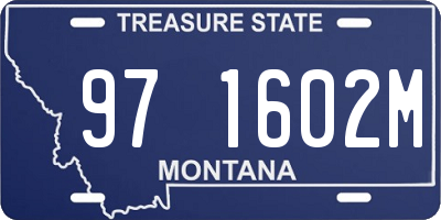 MT license plate 971602M