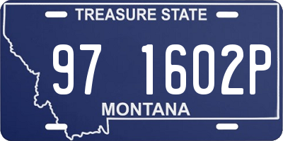 MT license plate 971602P
