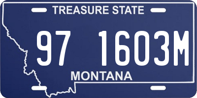MT license plate 971603M